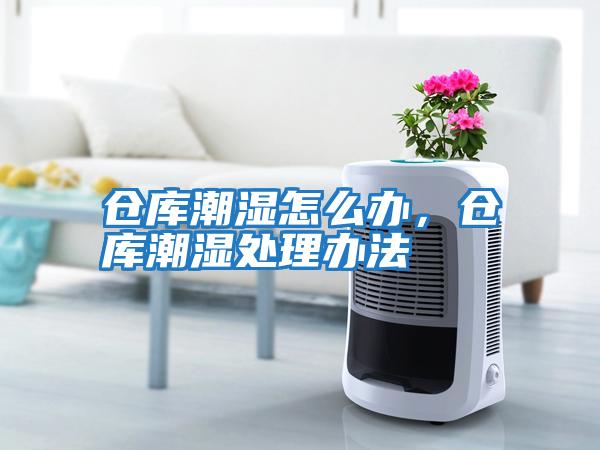 倉庫潮濕怎么辦,倉庫潮濕處理辦法