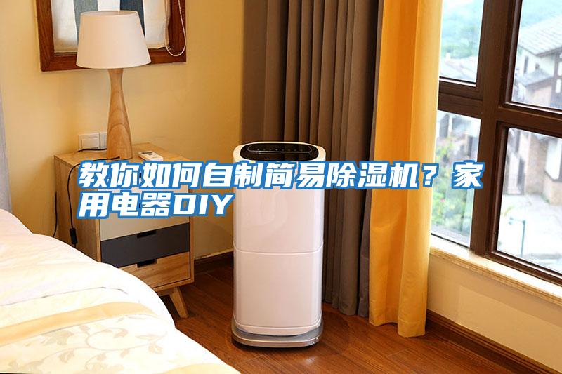 教你如何自制簡易除濕機?家用電器DIY