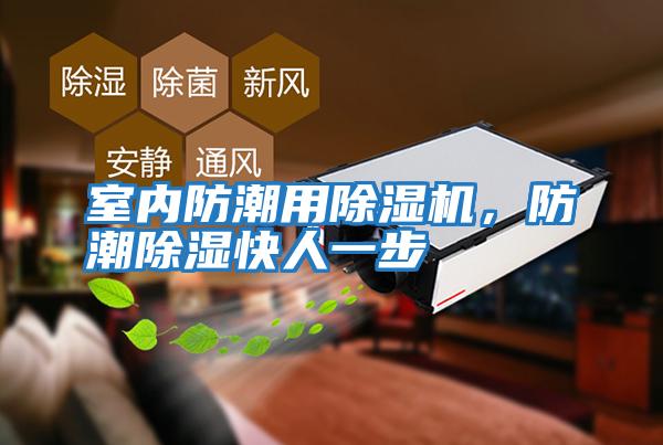 室內(nèi)防潮用除濕機(jī),防潮除濕快人一步