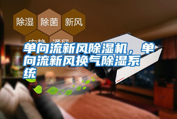 單向流新風(fēng)除濕機(jī),單向流新風(fēng)換氣除濕系統(tǒng)