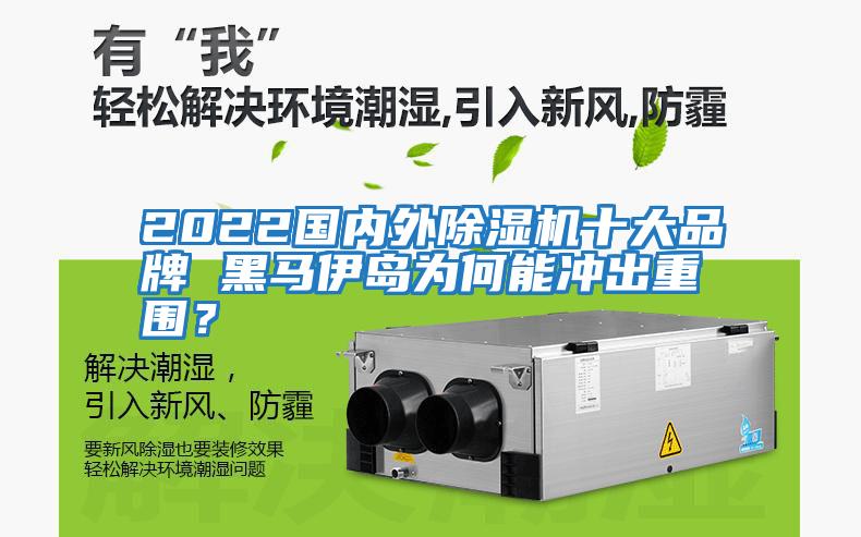 2022國內外除濕機十大品牌 黑馬伊島為何能沖出重圍?