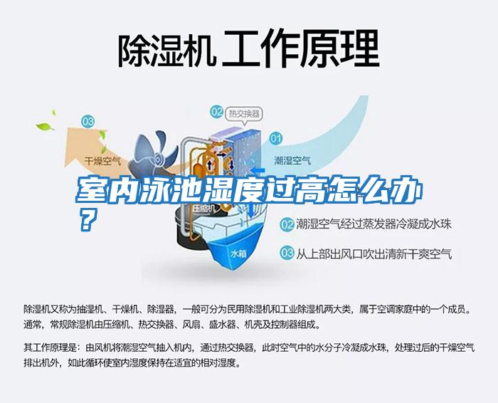 室內泳池濕度過高怎么辦?