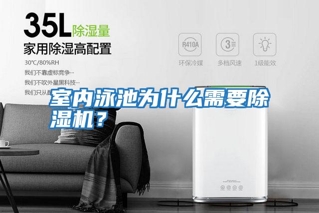室內(nèi)泳池為什么需要除濕機？