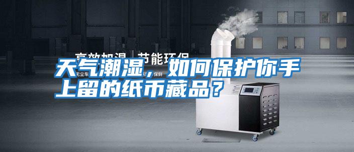 天氣潮濕，如何保護你手上留的紙幣藏品？