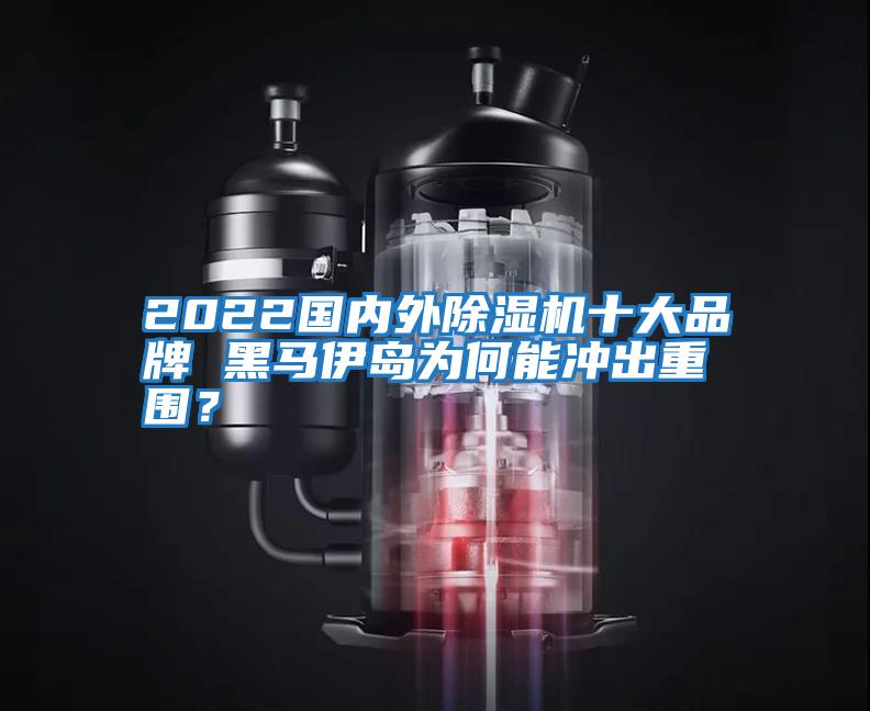 2022國內外除濕機十大品牌 黑馬伊島為何能沖出重圍？