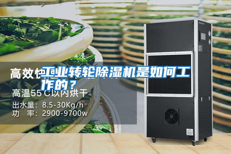工業轉輪除濕機是如何工作的？