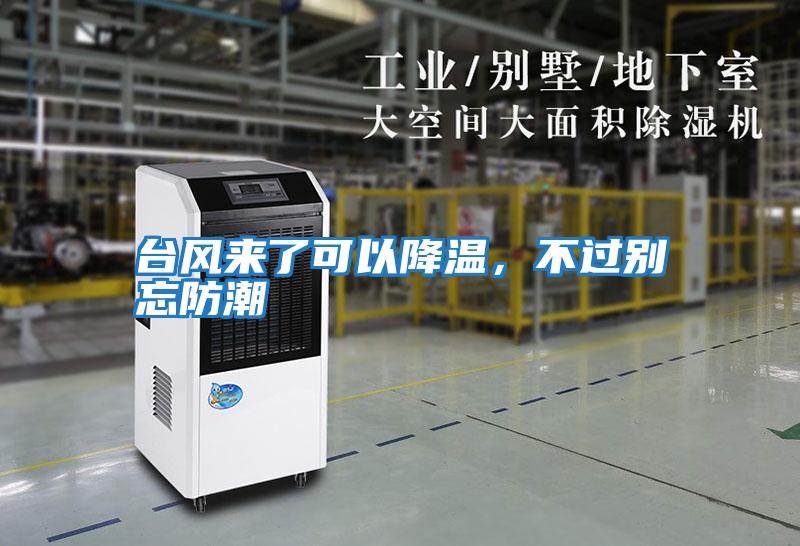 臺(tái)風(fēng)來了可以降溫,不過別忘防潮