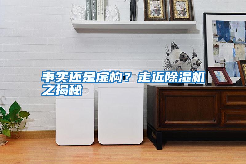 事實還是虛構？走近除濕機之揭秘