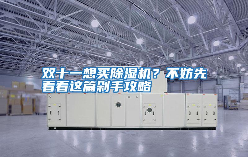 雙十一想買(mǎi)除濕機(jī)?不妨先看看這篇剁手攻略