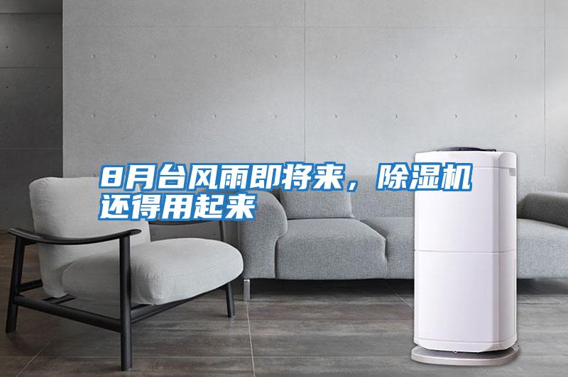 8月臺風雨即將來,除濕機還得用起來