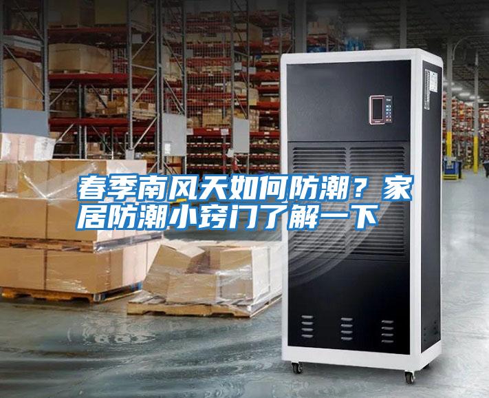 春季南風天如何防潮?家居防潮小竅門了解一下