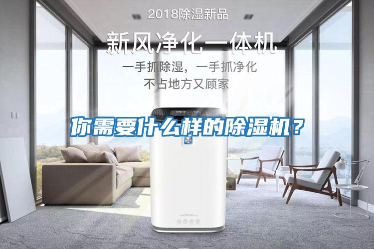你需要什么樣的除濕機?