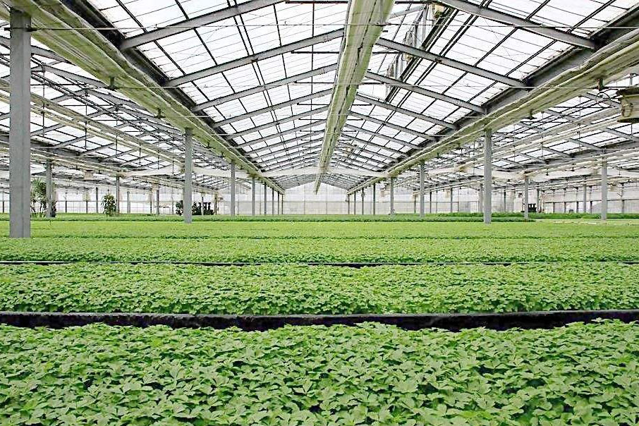 除濕器如何解決高濕度、多種危害的溫室除濕問題？