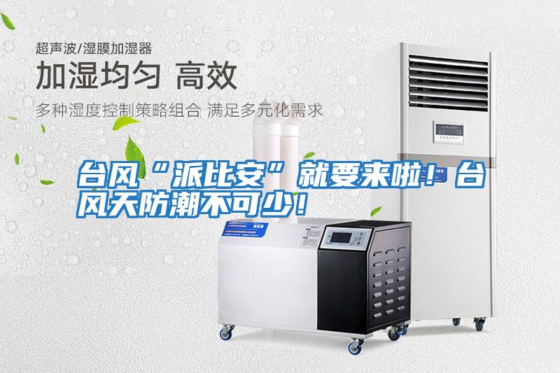 臺風(fēng)“派比安”就要來啦!臺風(fēng)天防潮不可少!