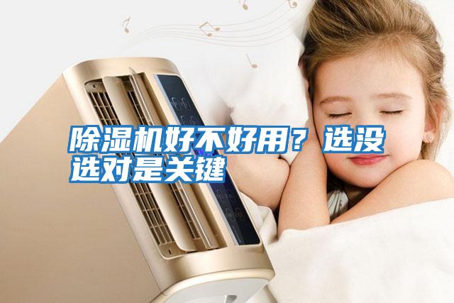 除濕機(jī)好不好用?選沒選對(duì)是關(guān)鍵