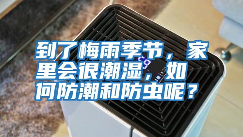 到了梅雨季節(jié),家里會(huì)很潮濕,如何防潮和防蟲呢?