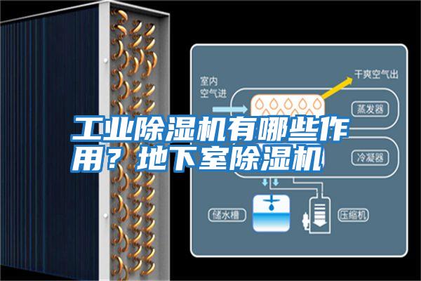 工業除濕機有哪些作用?地下室除濕機