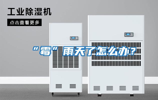 “霉”雨天了怎么辦?