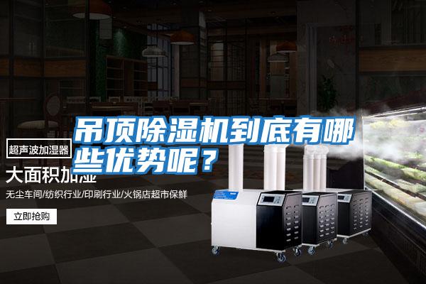 吊頂除濕機(jī)到底有哪些優(yōu)勢呢?