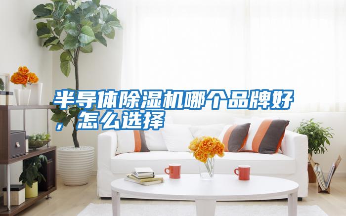 半導體除濕機哪個品牌好,怎么選擇