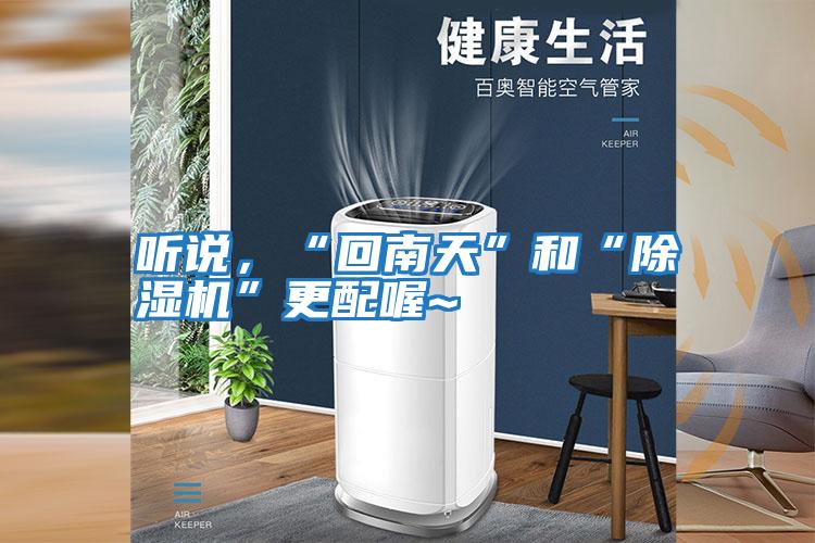 聽說,“回南天”和“除濕機”更配喔~