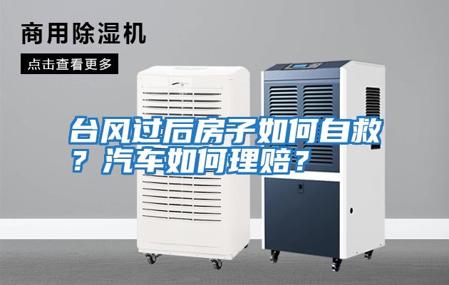 臺風(fēng)過后房子如何自救?汽車如何理賠?