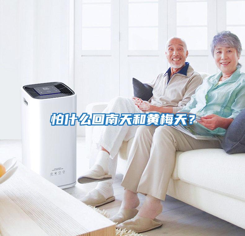 怕什么回南天和黃梅天?