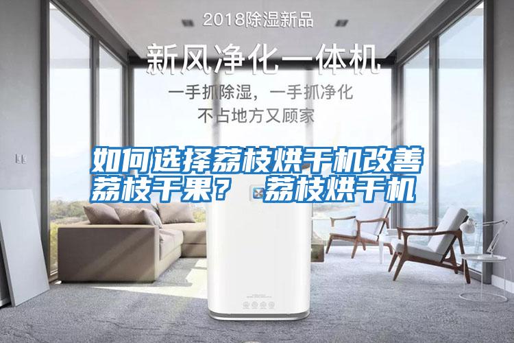 如何選擇荔枝烘干機改善荔枝干果? 荔枝烘干機