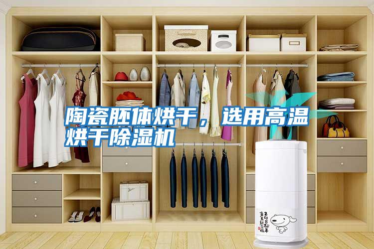 陶瓷胚體烘干,選用高溫烘干除濕機