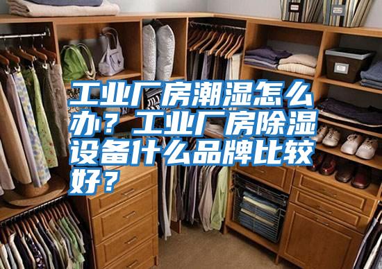 工業廠房潮濕怎么辦?工業廠房除濕設備什么品牌比較好?