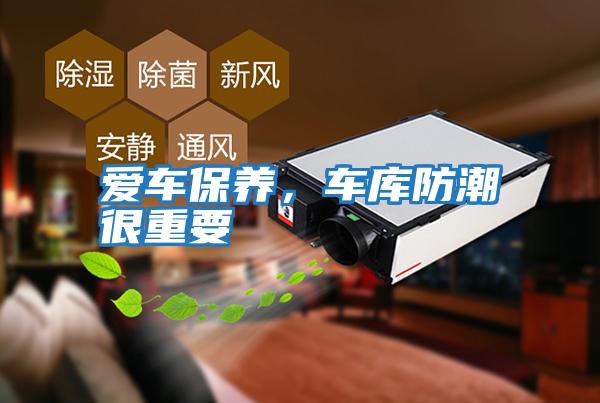 愛車保養，車庫防潮很重要