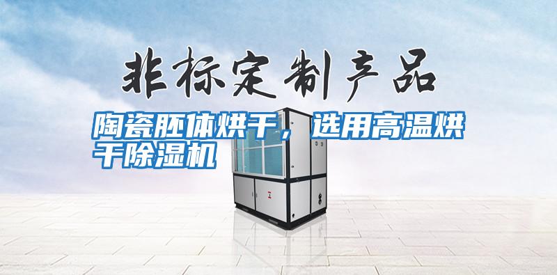 陶瓷胚體烘干,選用高溫烘干除濕機