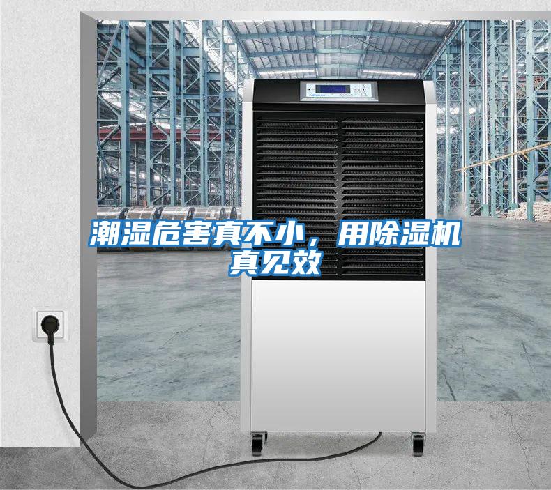 潮濕危害真不小,用除濕機真見效