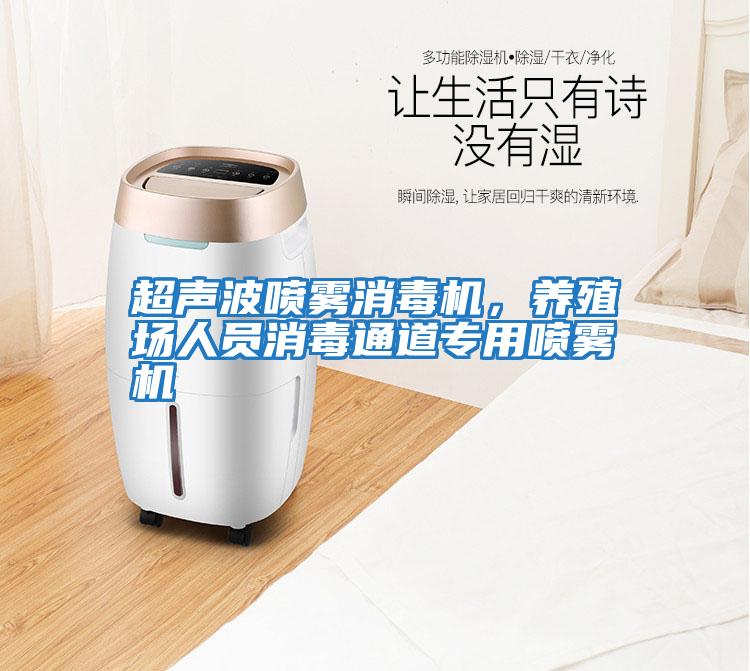 超聲波噴霧消毒機,養殖場人員消毒通道專用噴霧機