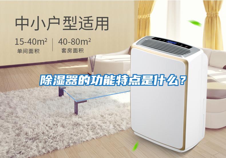 除濕器的功能特點是什么?