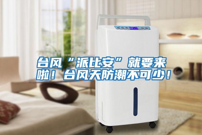 臺風“派比安”就要來啦!臺風天防潮不可少!
