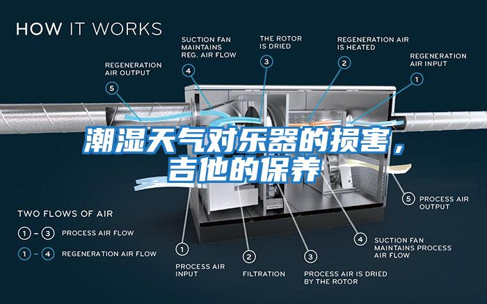 潮濕天氣對樂器的損害,吉他的保養
