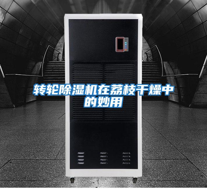 轉(zhuǎn)輪除濕機(jī)在荔枝干燥中的妙用