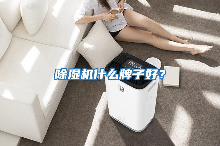 除濕機什么牌子好？