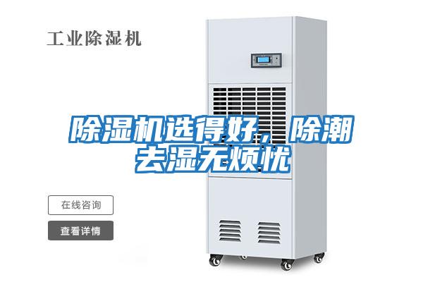 除濕機選得好,除潮去濕無煩憂