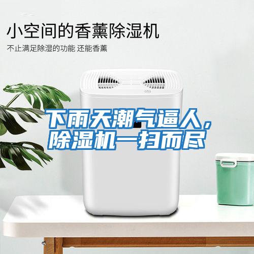 下雨天潮氣逼人,除濕機一掃而盡