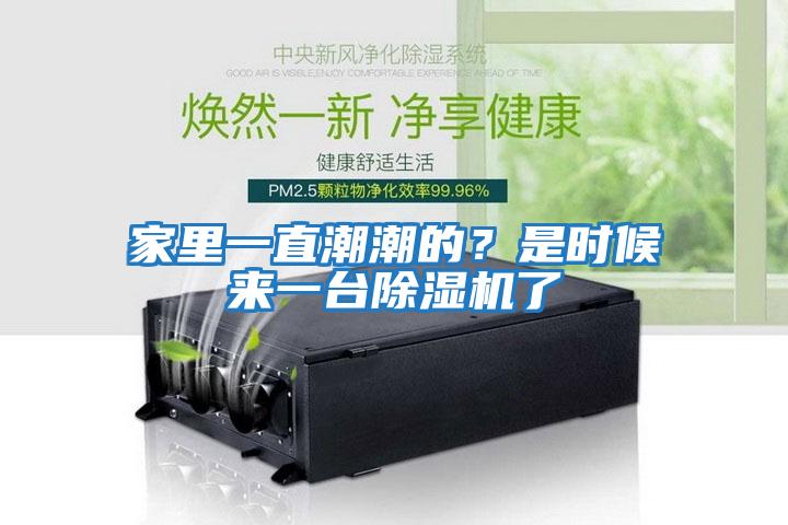 家里一直潮潮的?是時候來一臺除濕機了