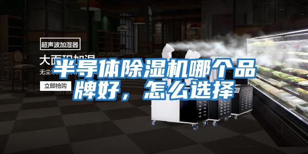 半導體除濕機哪個品牌好,怎么選擇