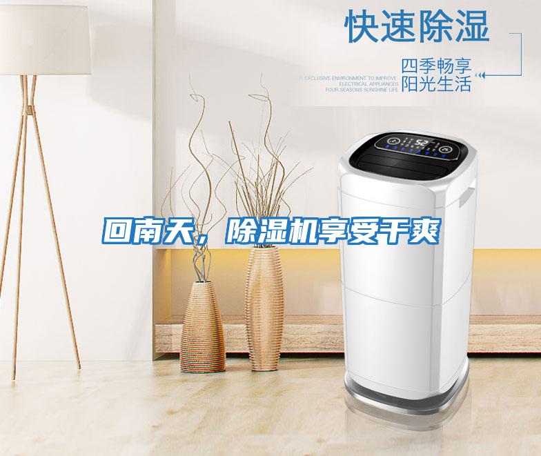 回南天,除濕機享受干爽