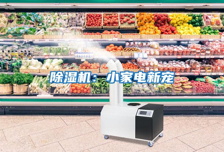 除濕機:小家電新寵