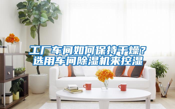 工廠車間如何保持干燥？選用車間除濕機來控濕