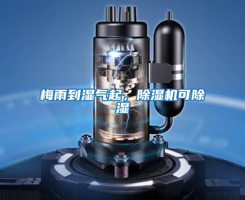 梅雨到濕氣起，除濕機可除濕