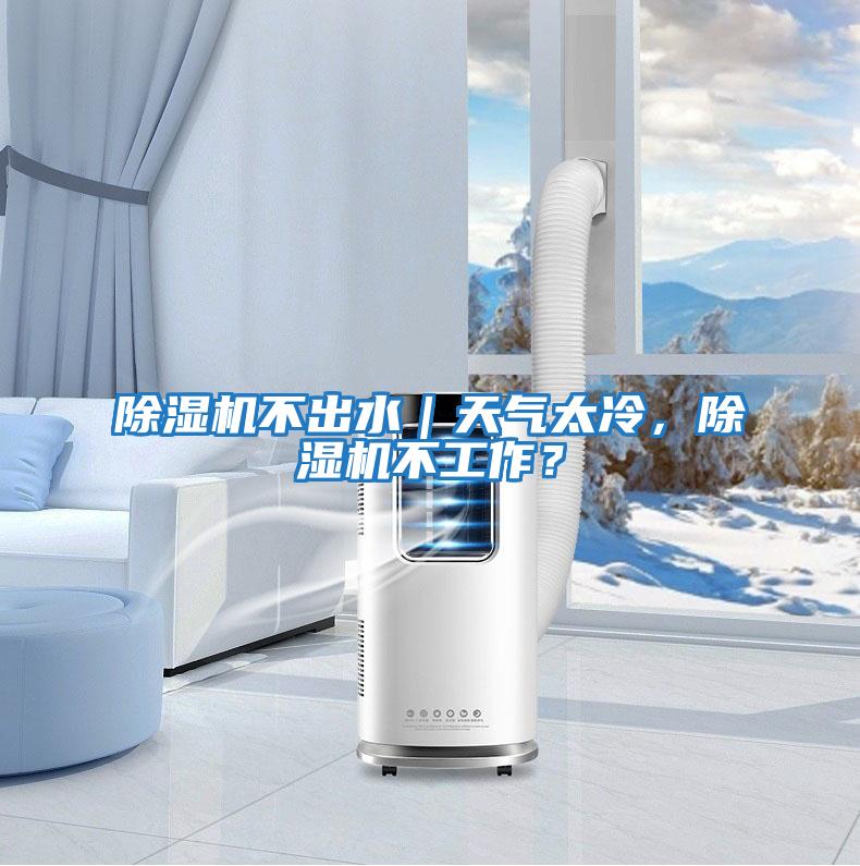 除濕機不出水｜天氣太冷，除濕機不工作？