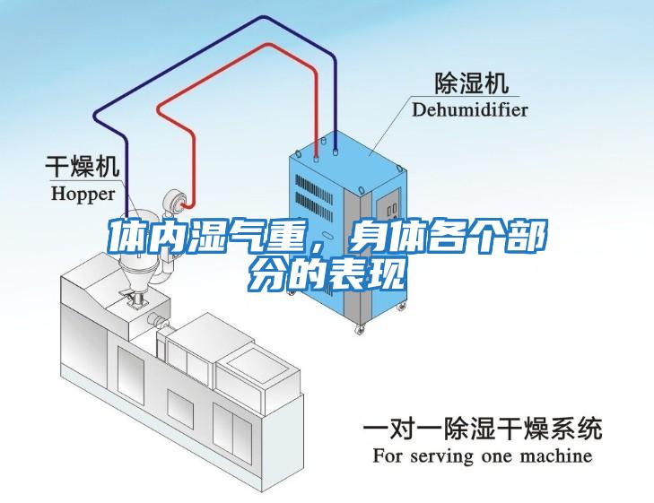 體內濕氣重,身體各個部分的表現