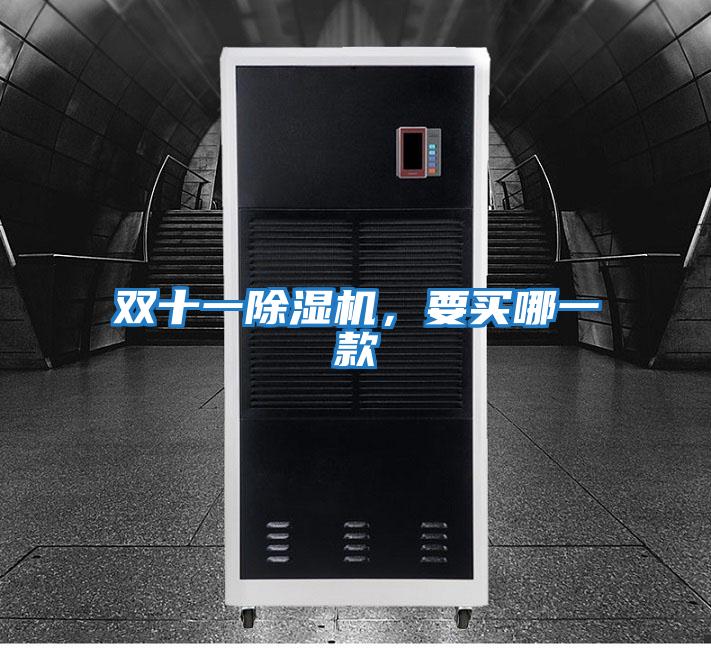 雙十一除濕機(jī),要買哪一款